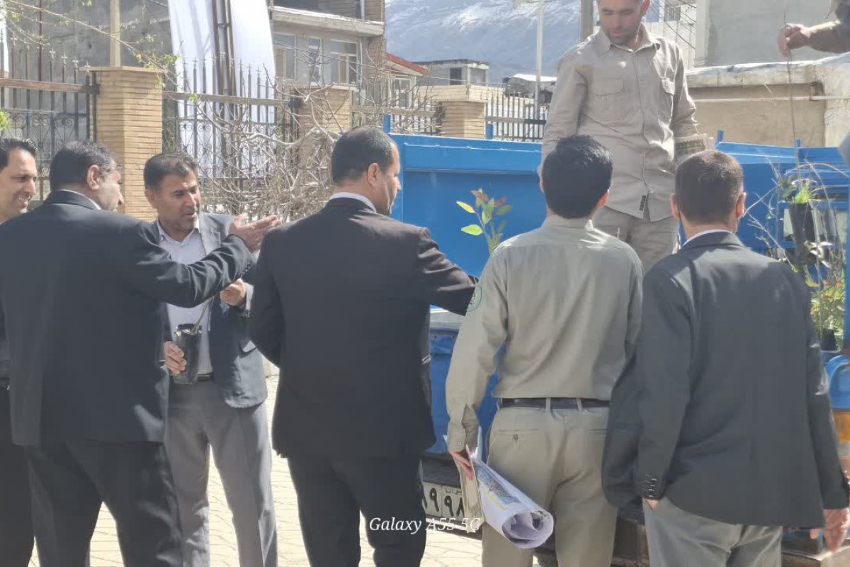 پویش کاشت نهال ویژه سفیران قرآنی نهضت زندگی با آیه ها در شهرستان بدره