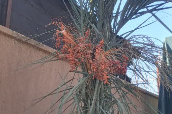 ساخت ماکت خانه حضرت فاطمه زهرا ( س) در شهرستان دره‌شهر