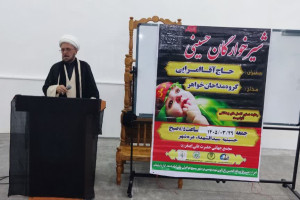 همایش بزرگ شیرخوارگان حسینی در شهرستان دره شهر برگزار شد